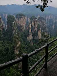 Как Увидеть парк Аватар без толп!