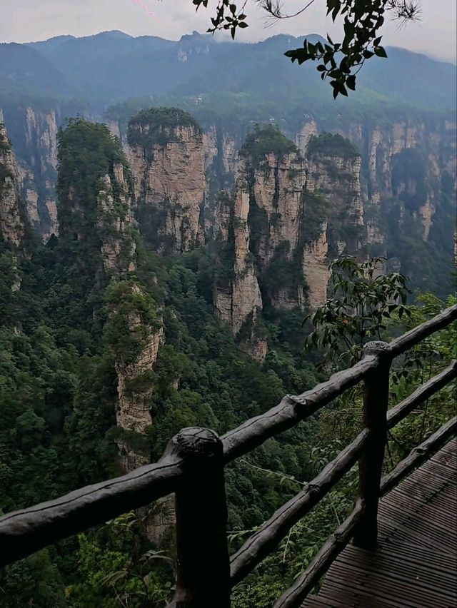 Как Увидеть парк Аватар без толп!