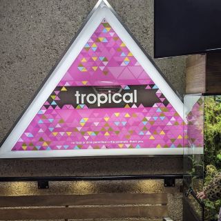 Muttart Conservatory