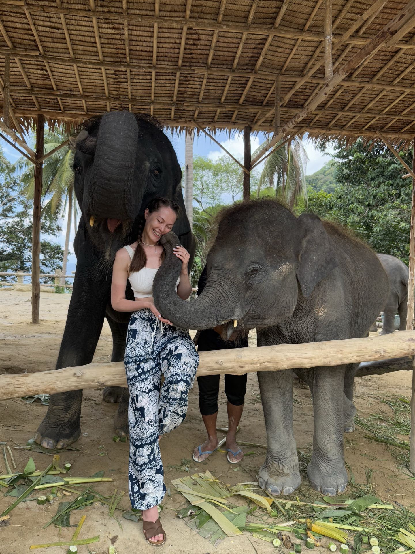 that's what my husband said last year.

Maybe not the absolute best, but 100% one of the best. During my first trip to Thailand back in 2015, I went elephant riding. Now, of course, I regret it. I wasn't as mindful back then, so please understand and forgive me.

Last year, while looking for a place to see elephants, we stumbled upon Patong Care Elephant. Here, you can feed, wash, and hug the elephants, but absolutely no riding. The way the staff treats the animals brings up nothing but the most positive emotions. That's why we wanted to visit again this time. The feelings are exactly the same. The elephants are magnificent.

An important detail.
From what we found out last year, these elephants were rescued from animal abusers. Yes, they know how to hug you with their trunks and they still do. But! Here, they roam freely. They are no longer bound by iron chains.

The sanctuary itself is also really nice. There’s no time limit on how long you can stay. No one rushes you. For feeding, they give you a large tub filled with sugarcane, corn, cucumbers, and bananas. When we ran out of elephant food, the staff even offered us more.

There's also a shaded rest area with a fan and swings. After feeding the elephants, visitors are treated to watermelon and mango. They also offer water and give out elephant-shaped keychains as gifts.

All in all, I genuinely only have the most positive memories here.

Admission is 1,000 baht per person.

       