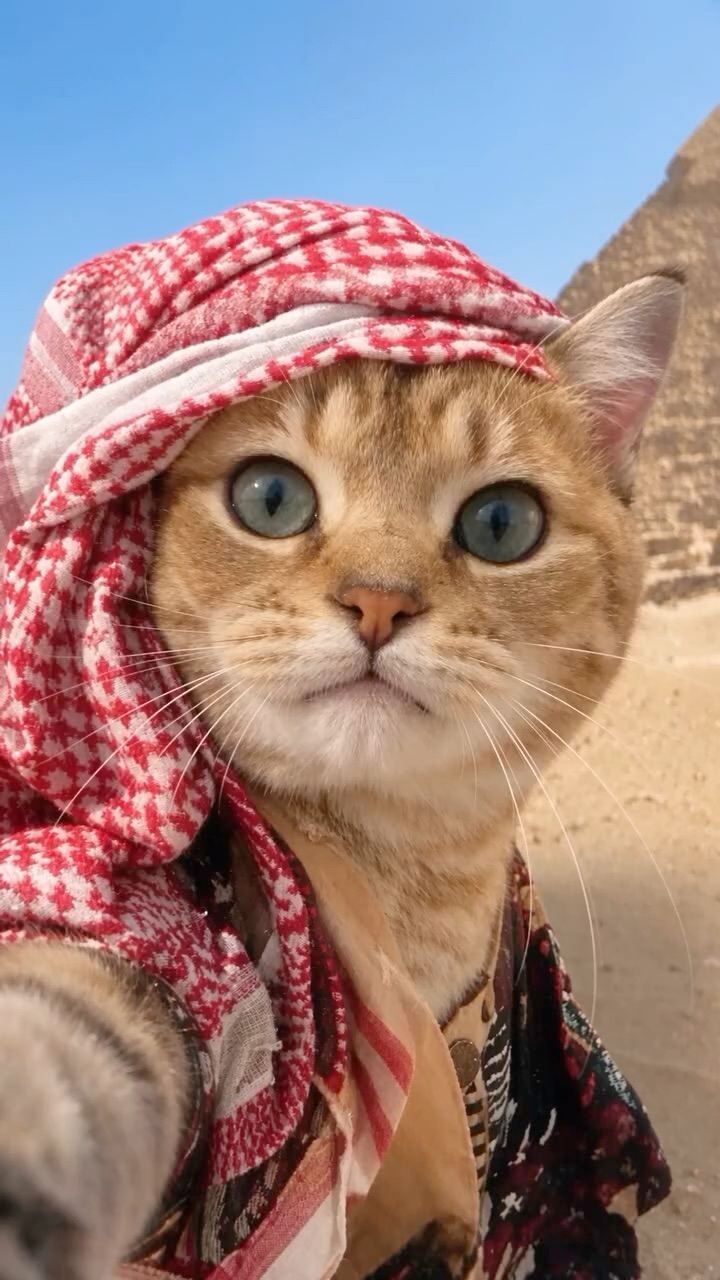 🇪🇬✨ EGYPT IS CALLING — YOUR NEXT ADVENTURE STARTS HERE! 🐪🌴