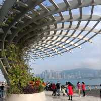 Tsim Sha Tsui - Promenade 