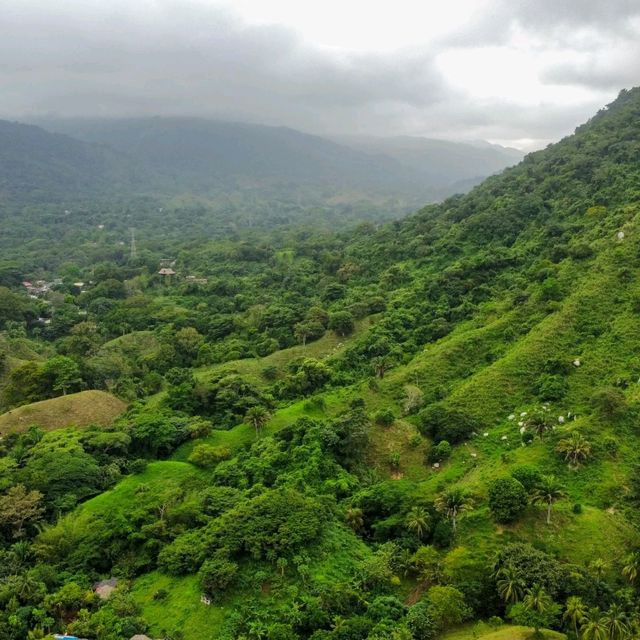 Paradise:Tayrona National Park 🏖🌿🦜