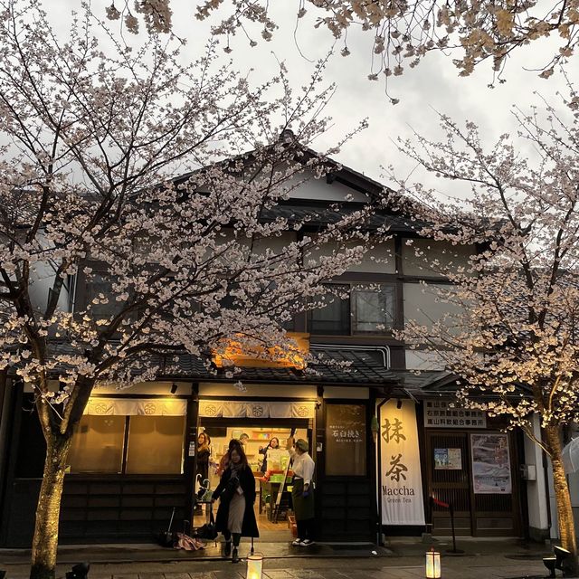 在京都🇯🇵嵐山坐小火車看雨櫻是什麼感覺？