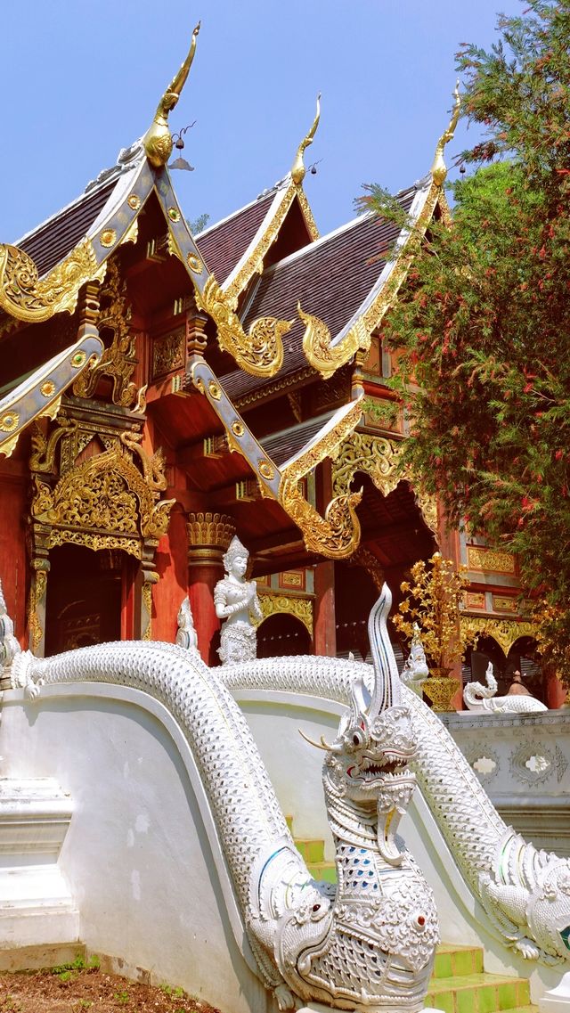 Chiang Mai's largest meditation center, a place where you can truly calm down.