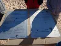 Release your laziness at a good place | Shark Bay