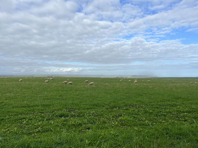 Great Ocean Road scenery