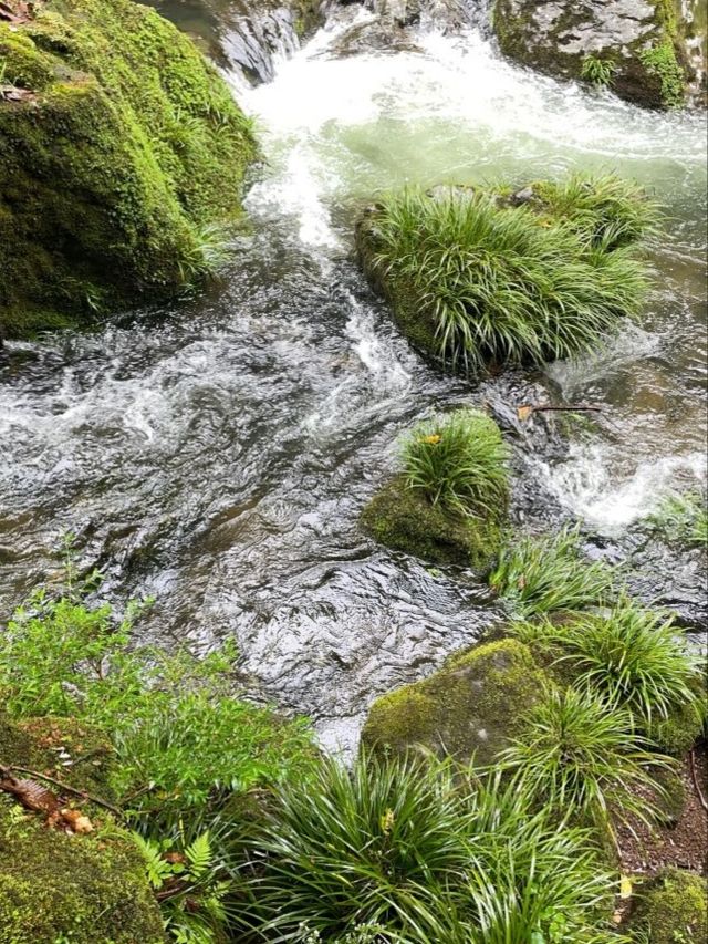 Longcangou Forest Park