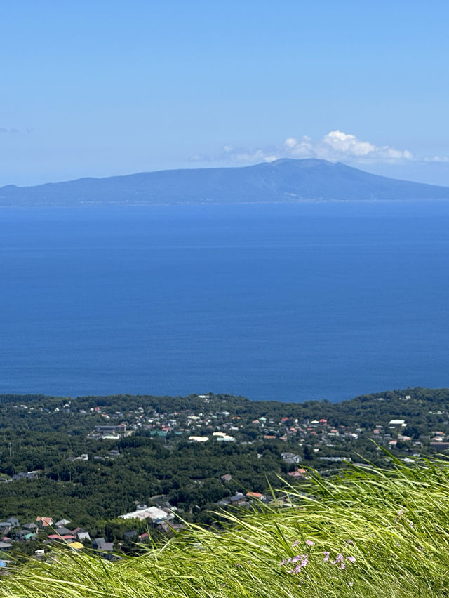 【東京周邊】大室山和城崎海岸：動漫走進現實～