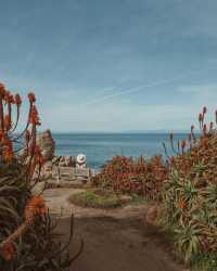 Embracing Coastal Wonders on Highway 1