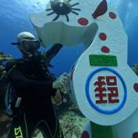 Down in the deep blue sea, my first Scuba