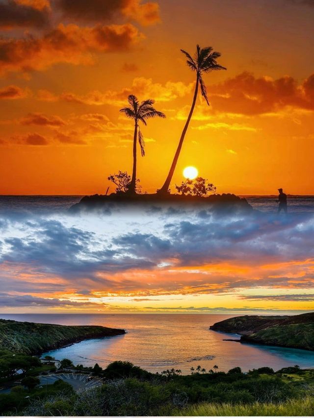 夏威夷島：熱帶天堂的完美探險