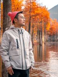 巧了！拍了國家地理同款水上落羽紅杉林