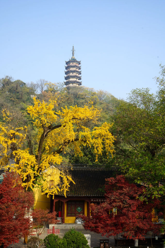 焦山，以山水天成，古樸幽雅聞名於世