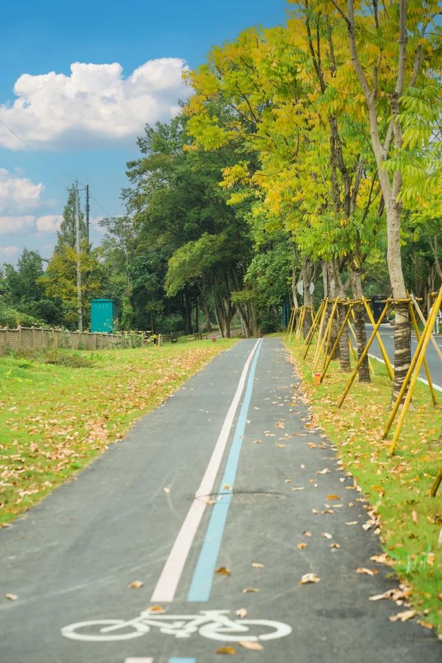 你會騎車嗎？安吉絕美的騎行路線