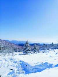 吉林絕美小眾賞雪地：在這個冬天誤入仙境