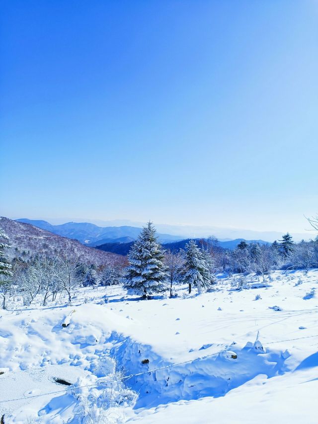 吉林絕美小眾賞雪地：在這個冬天誤入仙境