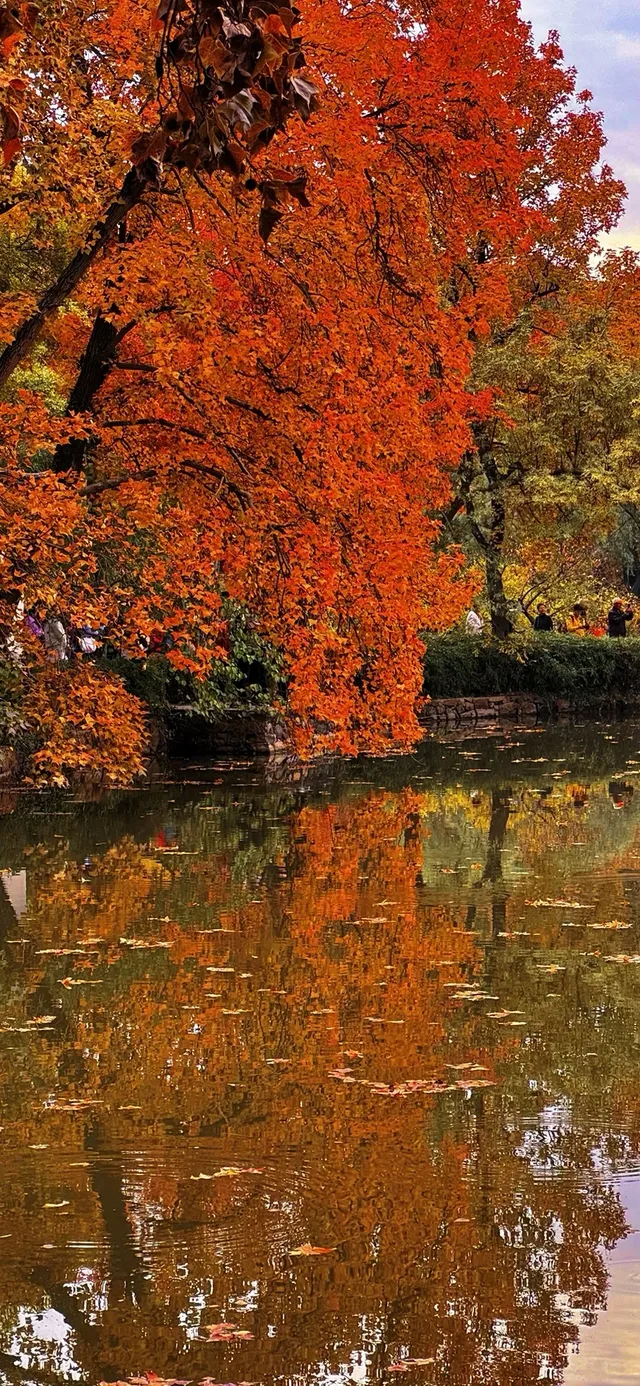 還去什麼京都都來蘇州天平山吧