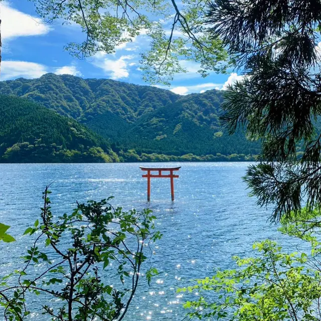 Relax in Rustic Elegance at Hakone Yuryo