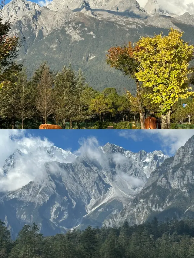 Explore the Yulong Snow Mountain in Yunnan and encounter beautiful scenery