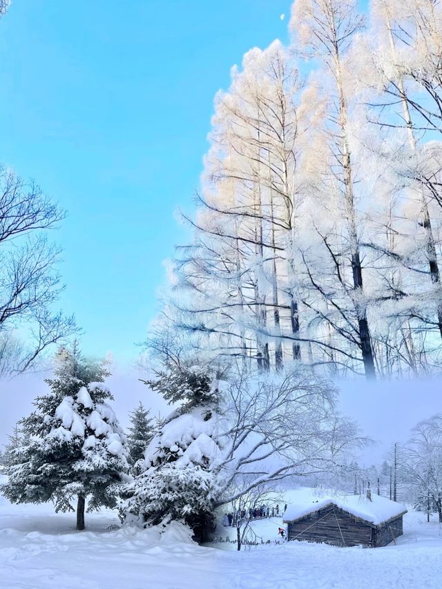 冬日的雪嶺，堪稱國內旅行地天花板~