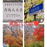 不可錯過的青島浪漫進行時『山東•青島八大關』