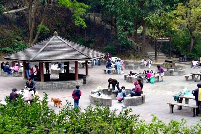 城門水塘行山．白千層美景