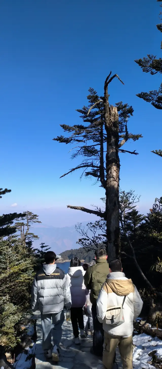 抬頭看看天空，去看看冰川河流，天空和河流能治癒一切