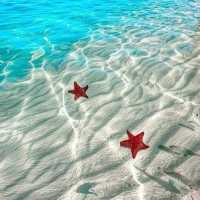 這片海🌊真的太美了
