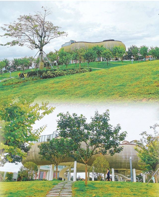 懸空雲頂書吧，像UFO的網紅書吧|龍華遛娃