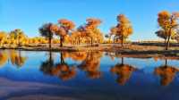 【開篇】： 內蒙古額濟納胡楊林自然保護區位於額濟納旗的中心位置—額濟納綠洲，西鄰額濟納旗政府駐地達來呼布鎮，北臨居延海，保護區總面積26253平方公里
