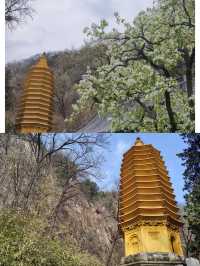 天津盤山一日遊