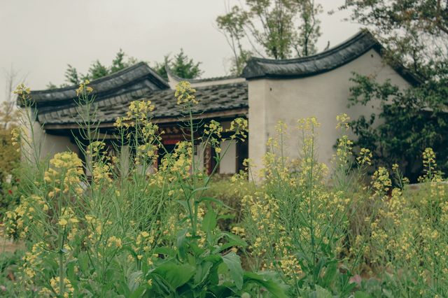 都市裡的醉美村落——福州梁厝歷史文化街區