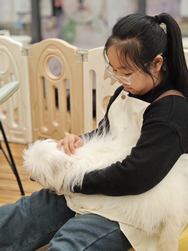 沈陽親子溜娃，超可愛的棉花面紗犬來啦！