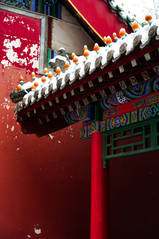 鄭州 | 不是故宮去不起 是雪後文廟更有性價比