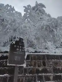 人生建議一定要在冬天去一次峨眉山