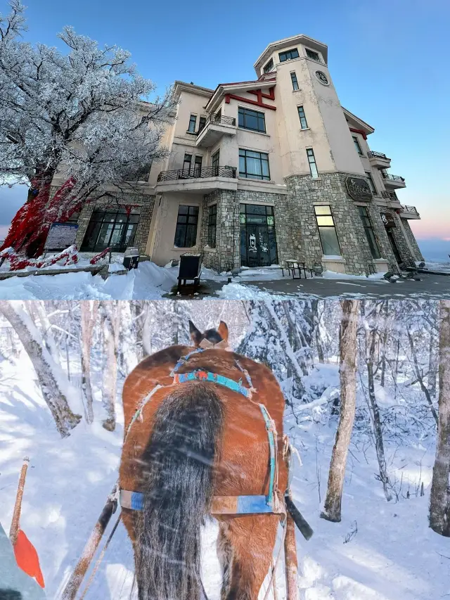 In-depth tour of Northeast Snow Town: Enjoy the ice and snow wonderland for 3 days and 2 nights!