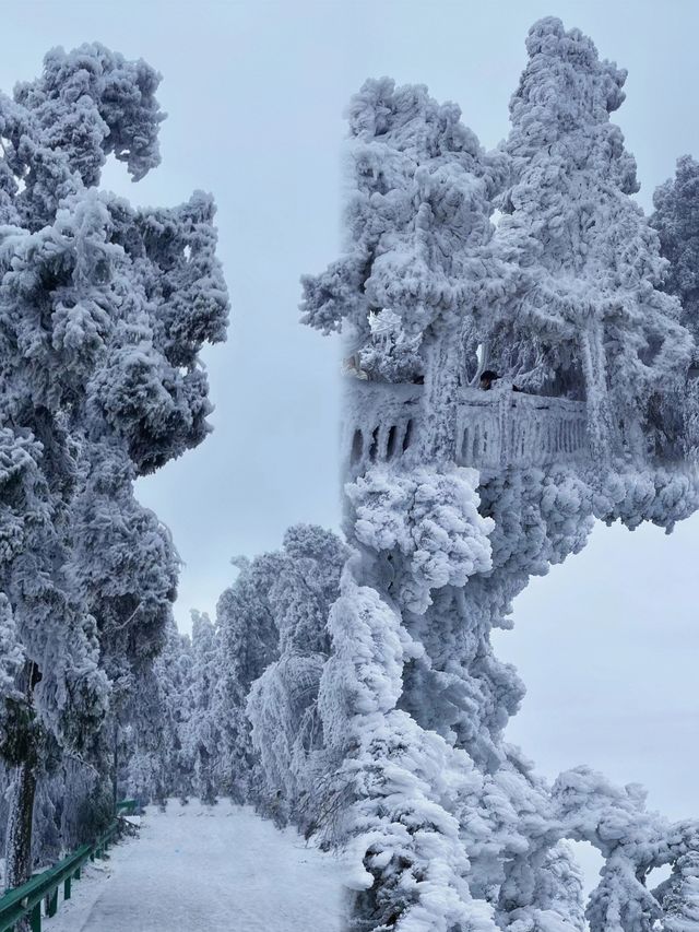 南方人看雪看霧凇必去之地……