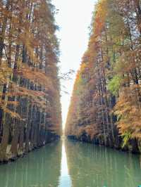 金湖一日遊 旅遊攻略