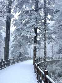 瓦屋山踩雪日記（附攻略