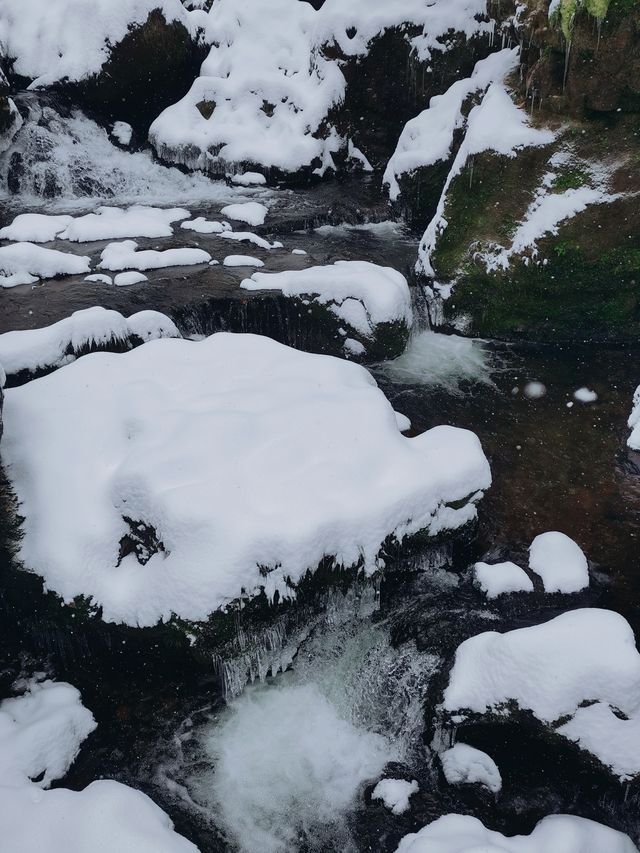 我在這裡看到了大雪紛飛這裡雪超厚