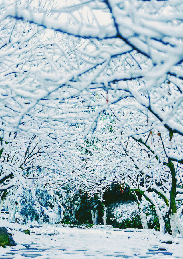 2024年貴州第一場雪凍人但美麗