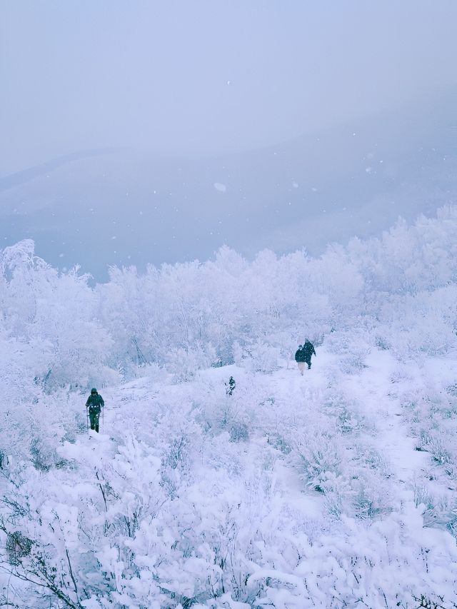 北京輕量徒步|用腳步感受東靈山的美