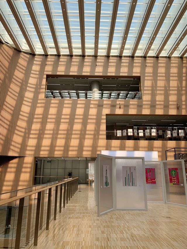 春節展覽不打烊，上海圖書館東館免費看龍