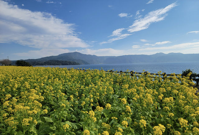 九州最大的池田湖