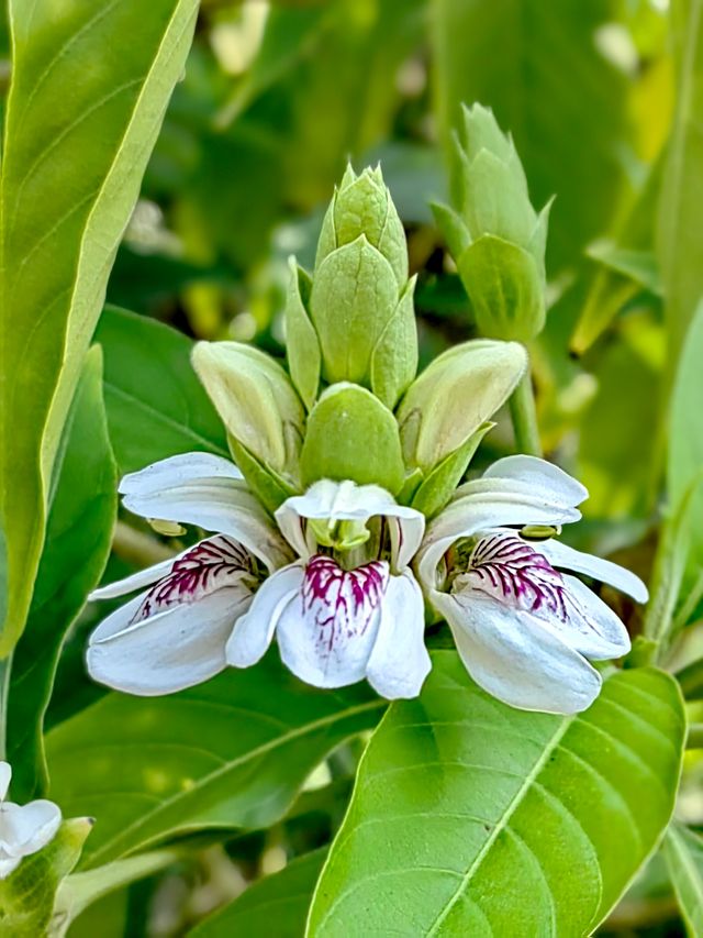 冬日暖陽，繁花似錦