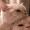 Cook_Liam_83