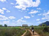 [古巴］菸草的故鄉 世界遺產Vinales valley