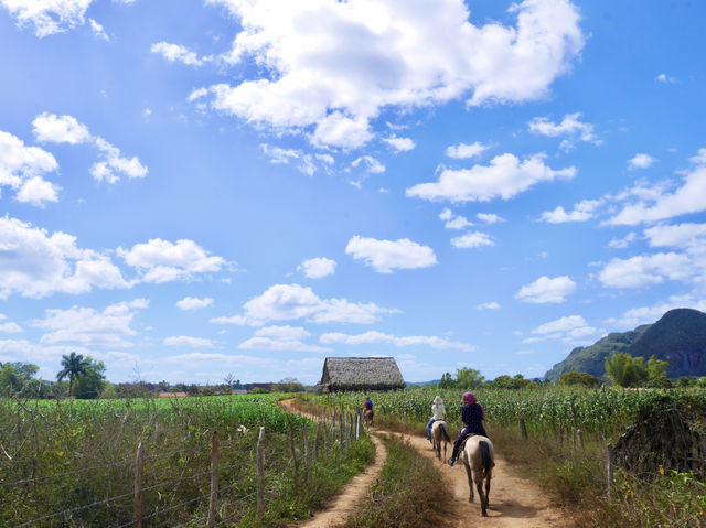 [古巴］菸草的故鄉 世界遺產Vinales valley