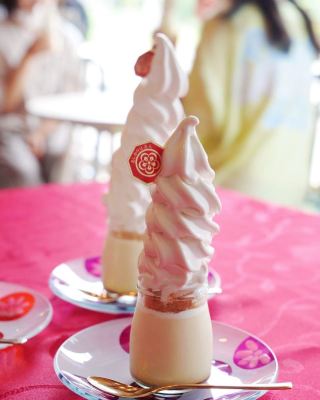 『ทริปสุดสงบ ณ เมืองเล็กๆ ในจังหวัดซากะ』